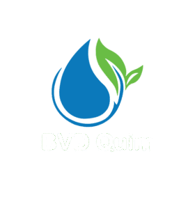 bvd quim logo color 02